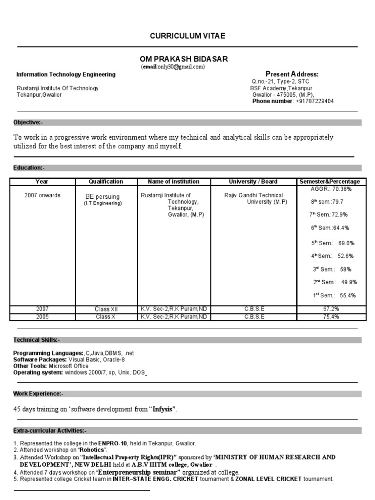 IT Engineering Student Profile | PDF | Software | Computer Engineering