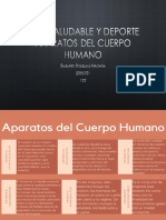 Aparatos Del Cuerpo Humano