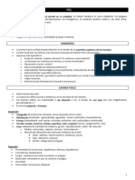 Piel PDF