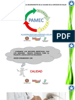 Area Pamec PDF