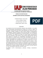 Tema1 Examen Clinico de Piel en Equinos