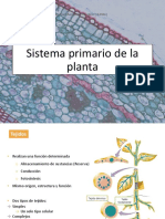 Sistema Primario de La Planta