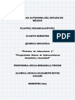 Practica Quimica PDF