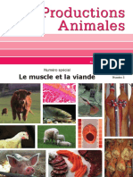 Extrait - Le Muscle Et La Viande