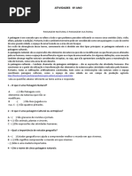 Sitios Arqueológicos Brasileiros Atividades PDF | PDF | Brasileiros ...