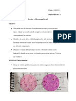 Reporte Laboratorio 4