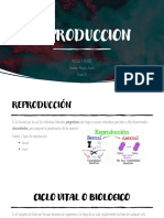 Diapositivas de Reproduccion 1