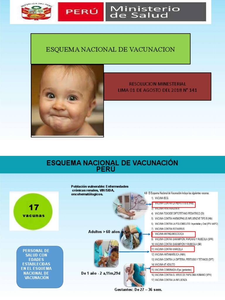 inmunizacion-descargar-gratis-pdf-vacunas-virus-de-la-influenza-a