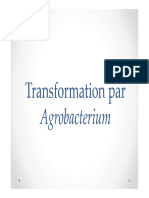 3 Transformation Par Agrobacterium PDF
