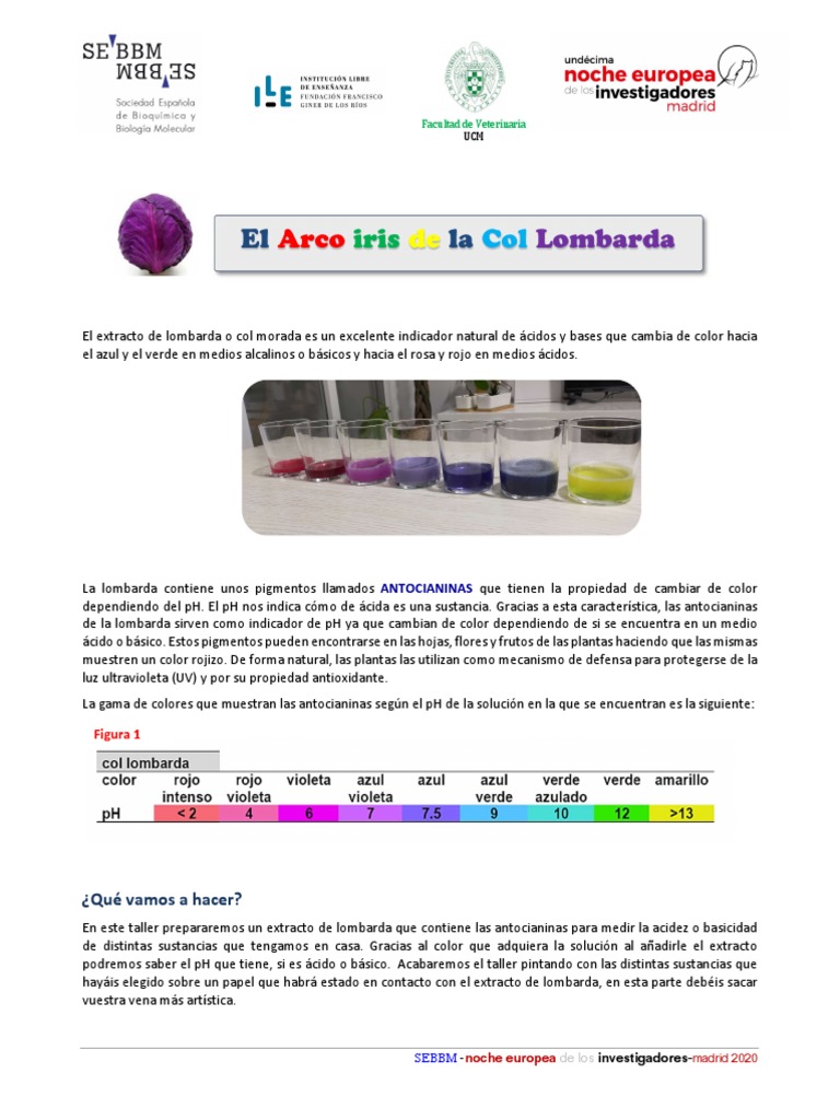 Col Lombarda como Indicador de pH | PDF | Color | Química