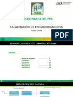 Ppa Cuestionario 01