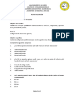 AutoevaluaciÃ N de Tema 2.1 (Parte II) PDF