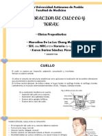 Exp - Cuello y Torax - Karen Sanchez PDF