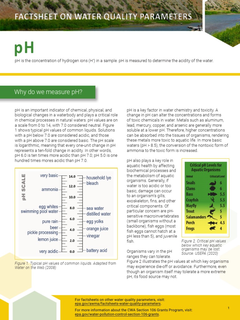 Epa (2021) ParameterFactsheet PH PDF Ph Water