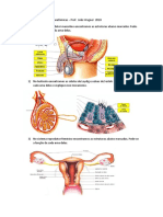 Estudo Dirigido de Bases Anatomicas 2018