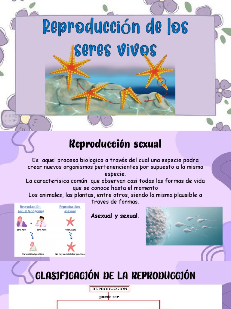 Reproducción Sexual y Asexual en Animales | PDF | Ciencia y matemáticas