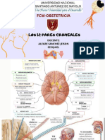 Los 12 Pares Craneales-Fisiologia