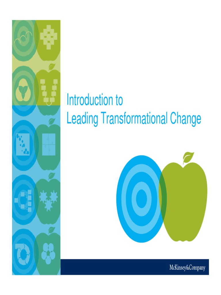 John Lin Mckinsey Leading Transformational Change Pdf Mc Kinsey