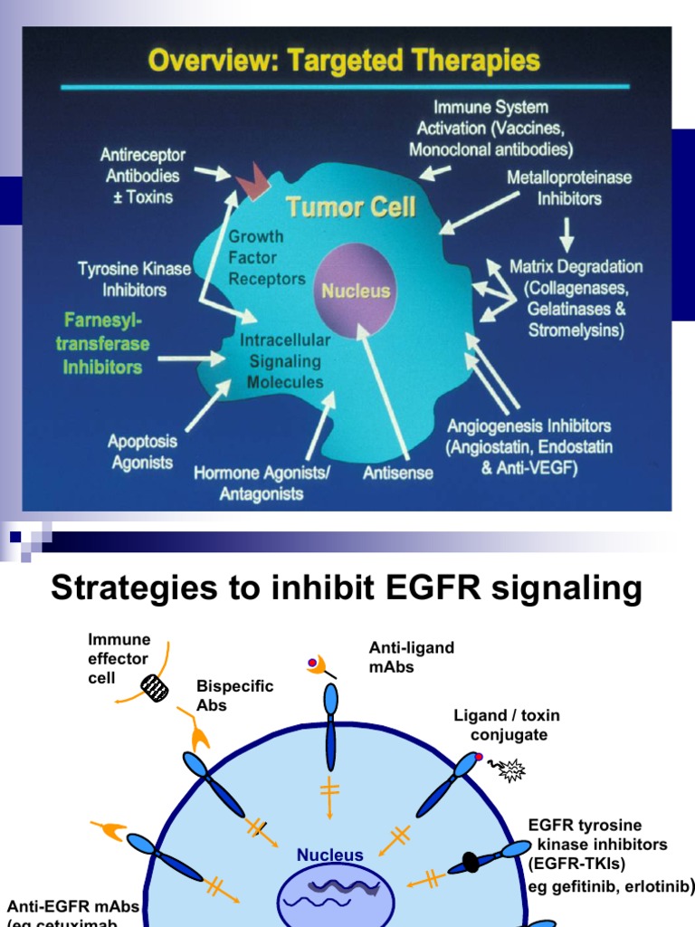 Antineoplastic 2 PDF Cancer Angiogenesis