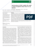 Plant Biotechnology Journal - 2019 - Okada - CRISPR Cas9 Mediated Knockout of Ms1 Enables The Rapid Generation of PDF