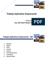 Trabajo Aplicativo Empresarial: Ing. Max Raúl Vargas Sánchez