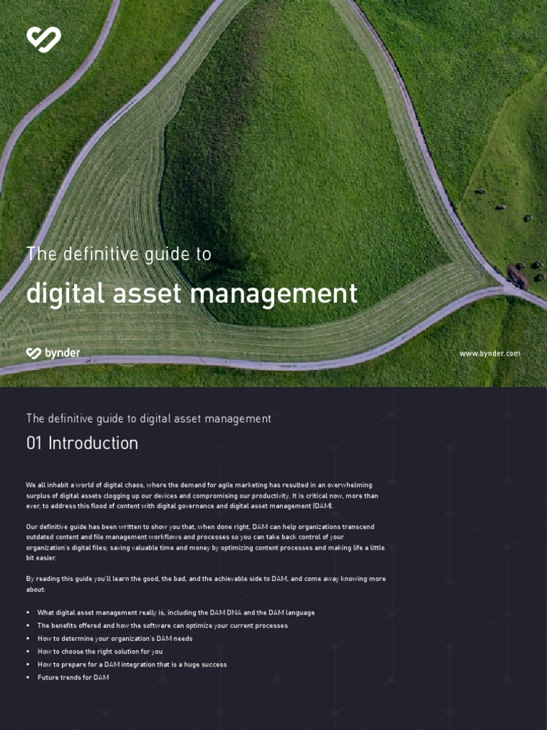 EN Definitive Guide To Dam PDF Metadata Return On Investment