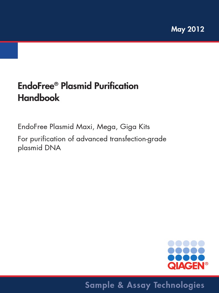 Qiagen Plasmid Extraction PDF PDF Protein Purification Gel