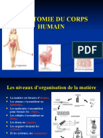anatomie_du_corps_humain.ppt