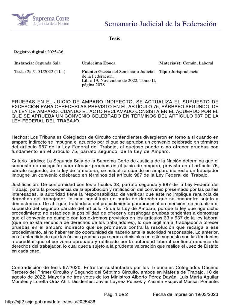 Excepción de Pruebas en Amparo Indirecto | PDF | Caso de ley | Gobierno