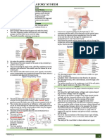 (Week 14) Respiratory System