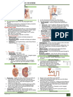 (Week 16) Urinary System