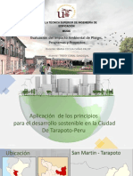 Planes Sostenibles Urbanos PDF