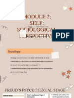 Sociological Perspective: Self, Freud, Erikson, Cooley, Mead & Theories of Moral Development