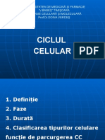 Nucleul Interfazic