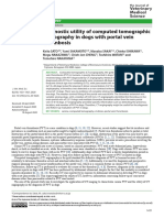 Diagnostic Utility of Computed Tomographic Angiography in Dogs With Portal Vein Thrombosis