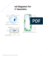 All Required Diagrams For Biology BY Vasumitra PDF