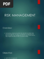 RISK MANAGEMENT My Report