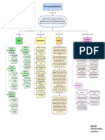 Mapa Conceptual - Microemprendimientos