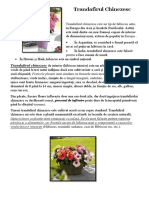 Trandafirul Chinezesc PDF