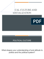 Political Culture + Socialisation