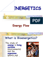 Bioenergetics PDF