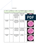 Tugas Hemostasis