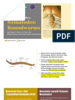 PARASITOLOGI Nematodes