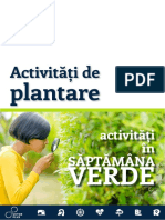 SV - Activitati Plantare