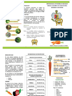 Folleto Zanahoria PDF