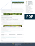 Control de Malezas - Tips y Los Mejores Productos para Un Combate Eficiente PDF
