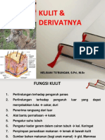 Kulit Dan Derivatnya