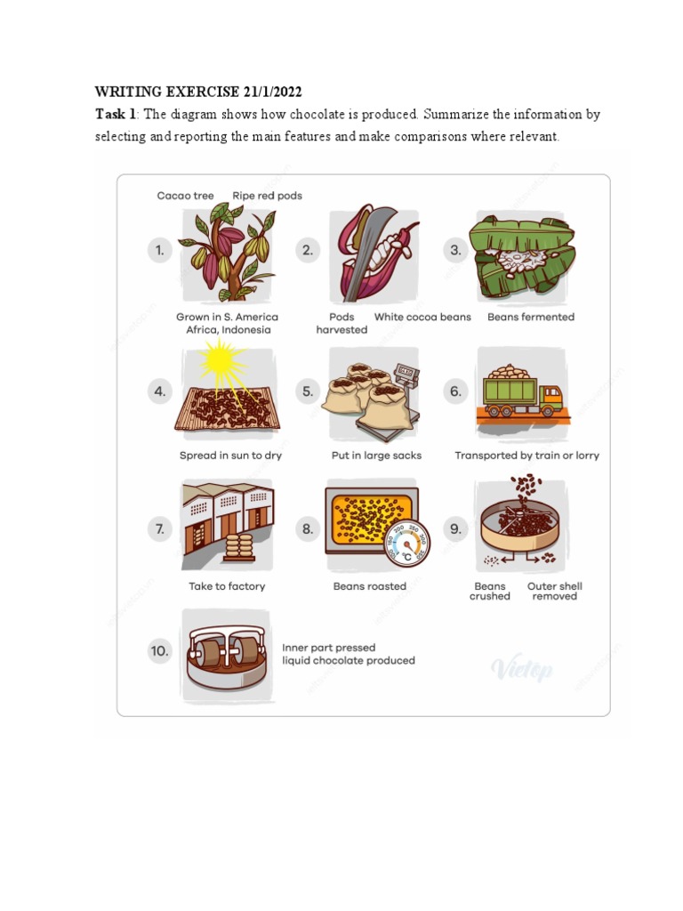 Writing Exercise 21 3 | PDF | Cocoa Bean | Chocolate