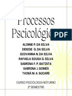 Processos Psicológicos