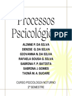 Processos Psicológicos e Psicodélicos